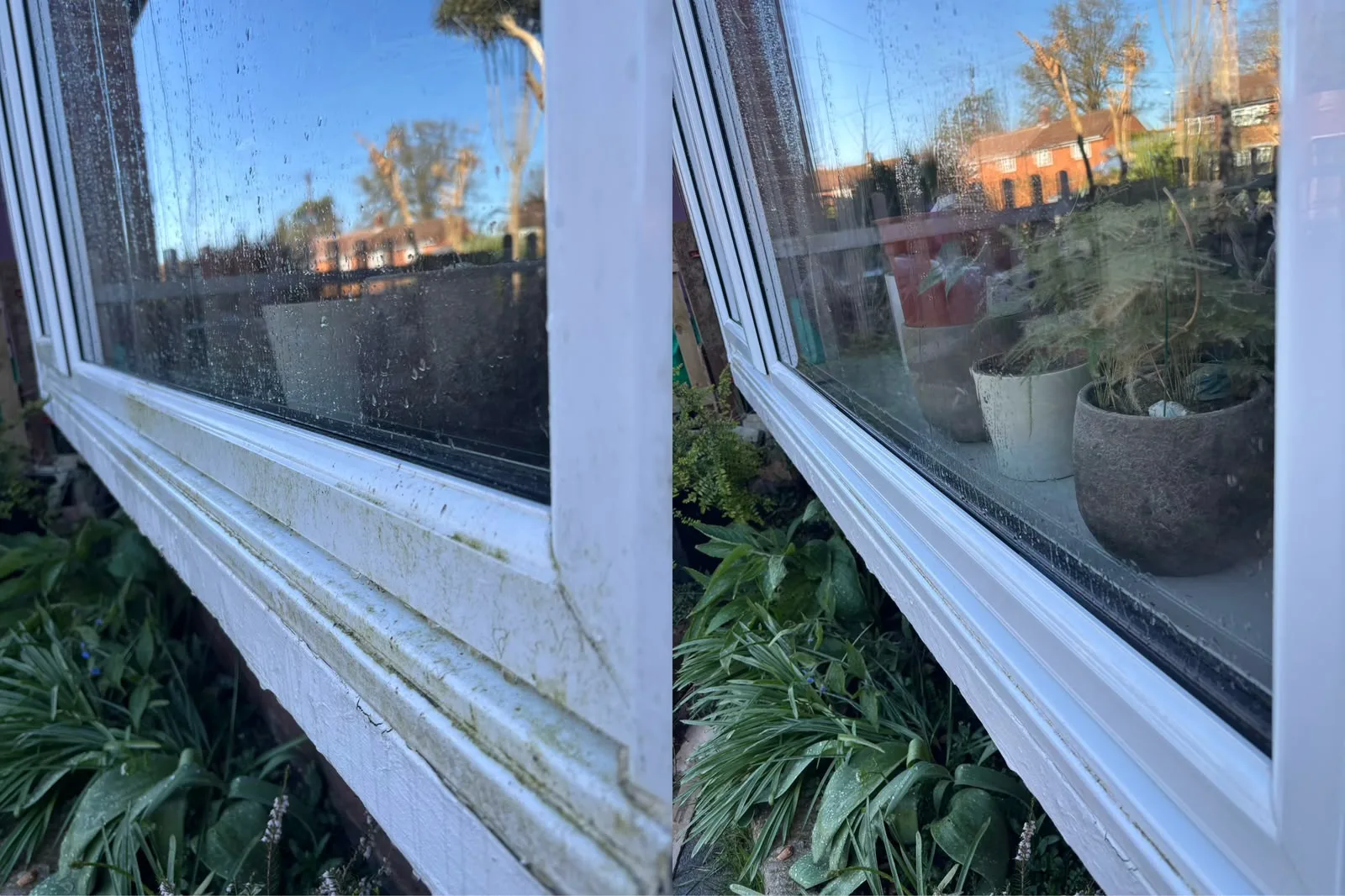 How Regular Window Cleaning Protects Your Windows