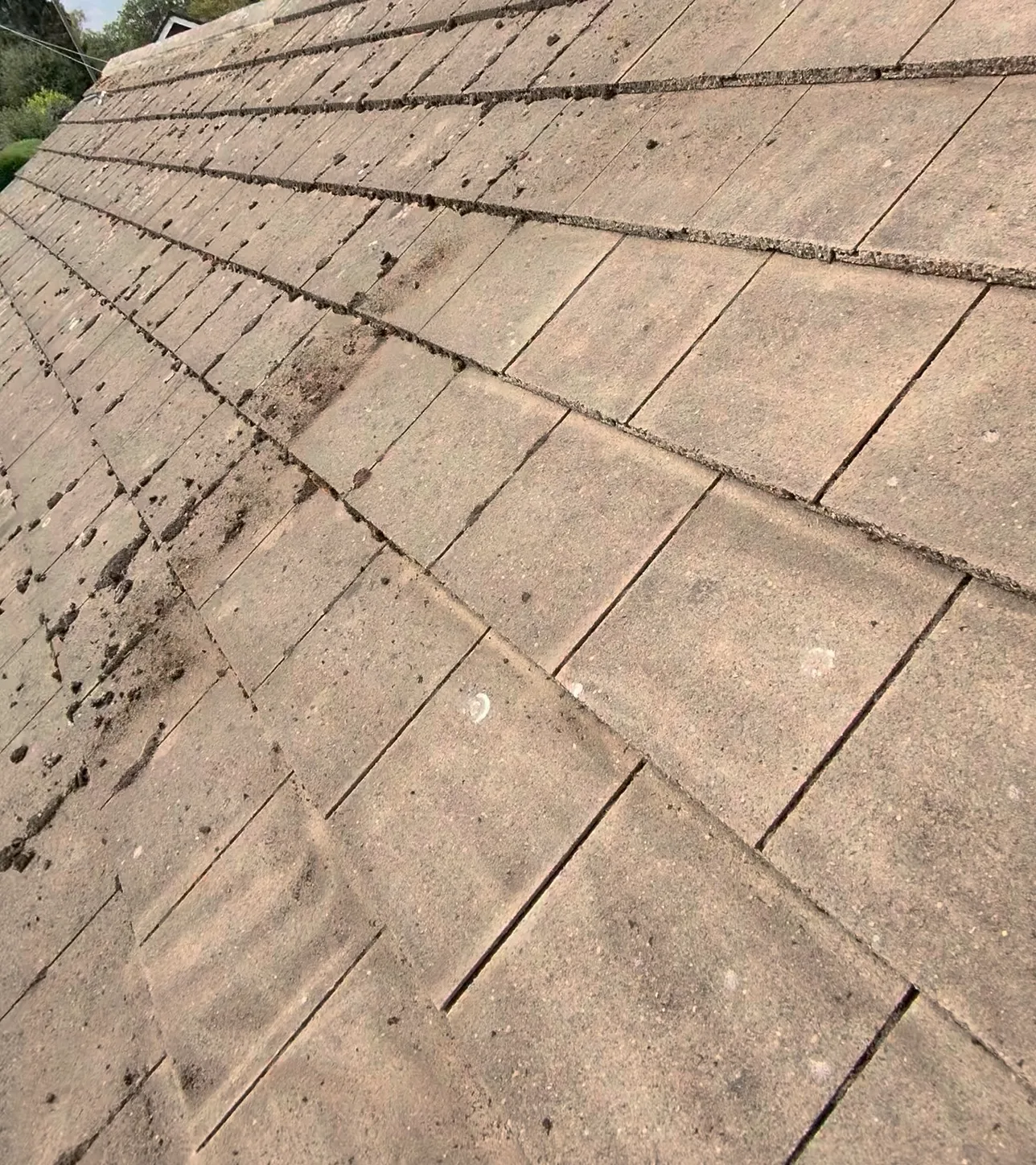 Why Roof Cleaning and Moss Removal is Important for Your Derby Home